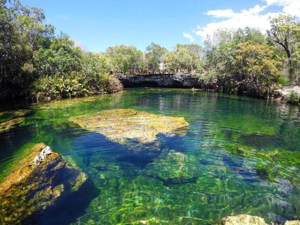 Cenote Jardín del Edén in Playa del Carmen
